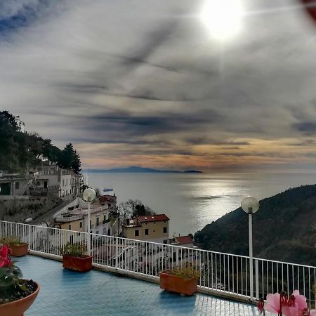 Contrada Vigna Bed & Breakfast Vietri Dış mekan fotoğraf