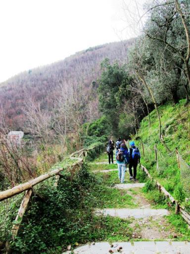 Contrada Vigna Bed & Breakfast Vietri Dış mekan fotoğraf