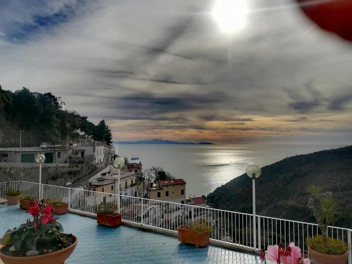 Contrada Vigna Bed & Breakfast Vietri Dış mekan fotoğraf