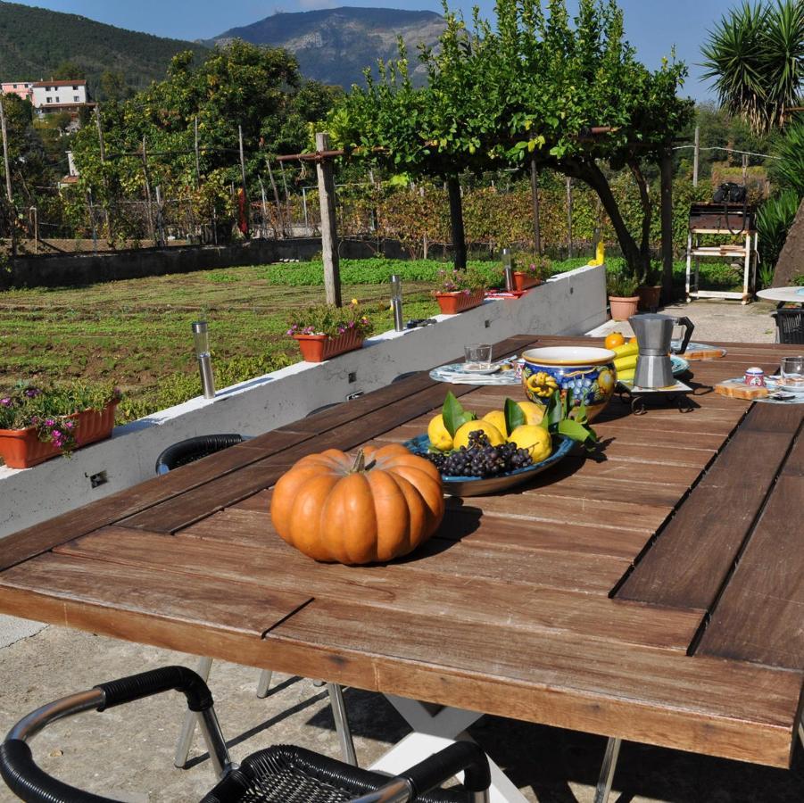 Contrada Vigna Bed & Breakfast Vietri Dış mekan fotoğraf